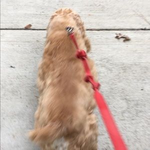 Meet your Posher, Sydney